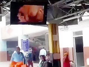 Patna Junction Railway Station Viral Sex Video Without Blur